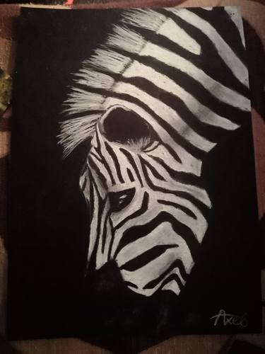 B&W Zebra thumb