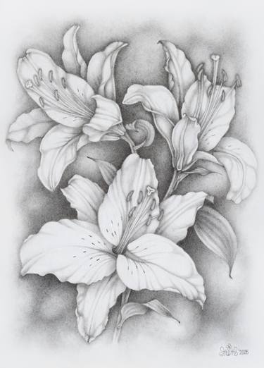Print of Folk Floral Drawings by Tatyana Taran