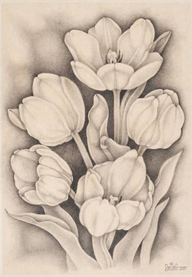 Print of Figurative Botanic Drawings by Tatyana Taran