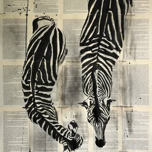 Collection Zebra Series
