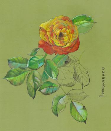 Print of Illustration Botanic Paintings by Tatiana Popovichenko