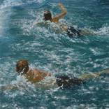 Free Swim by James Bentley