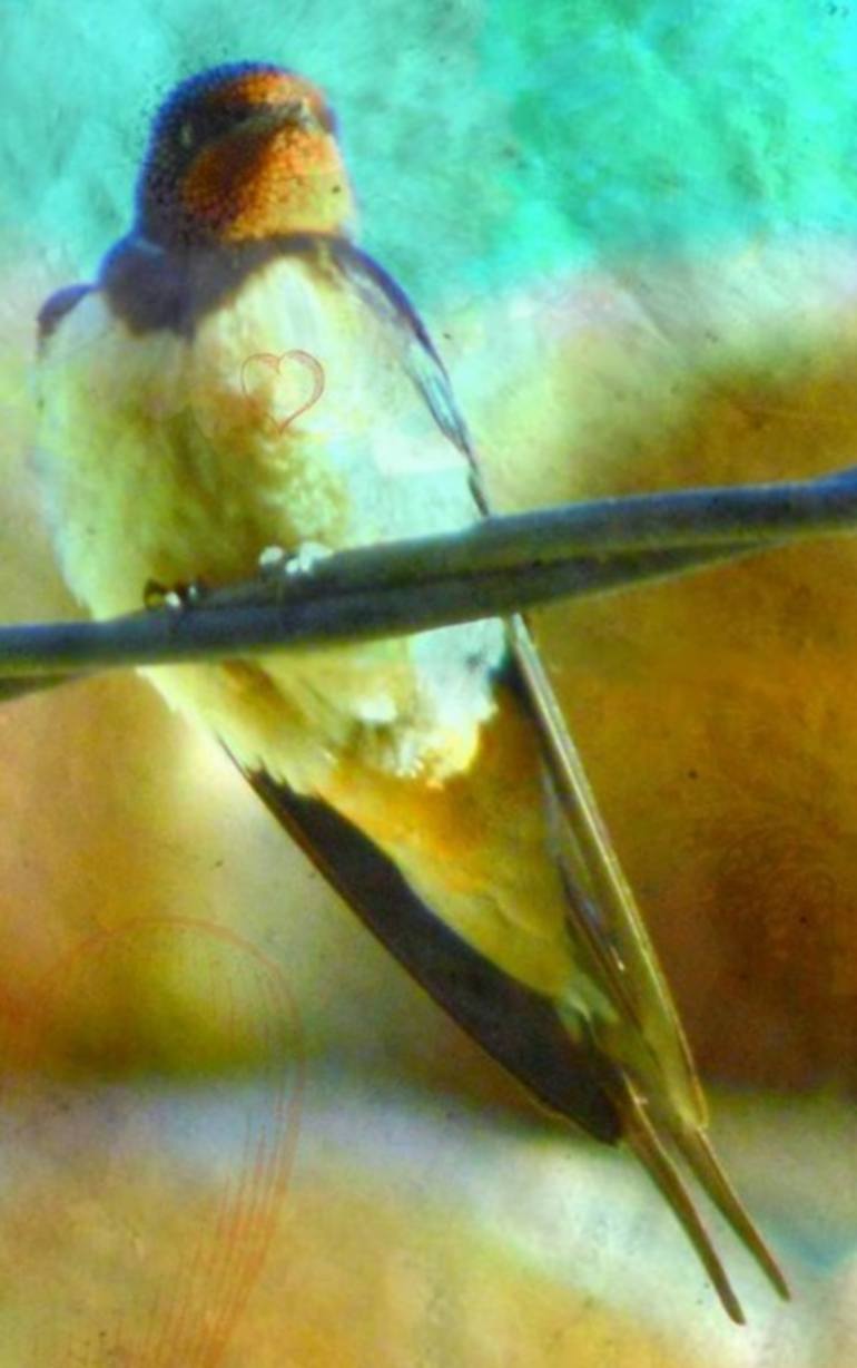 Original Art Deco Animal Photography by Emmanuelle Baudry