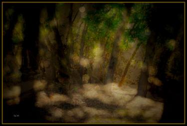 Bois des fées - Wood of Fairies thumb