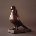The Dove by Daniel Mille