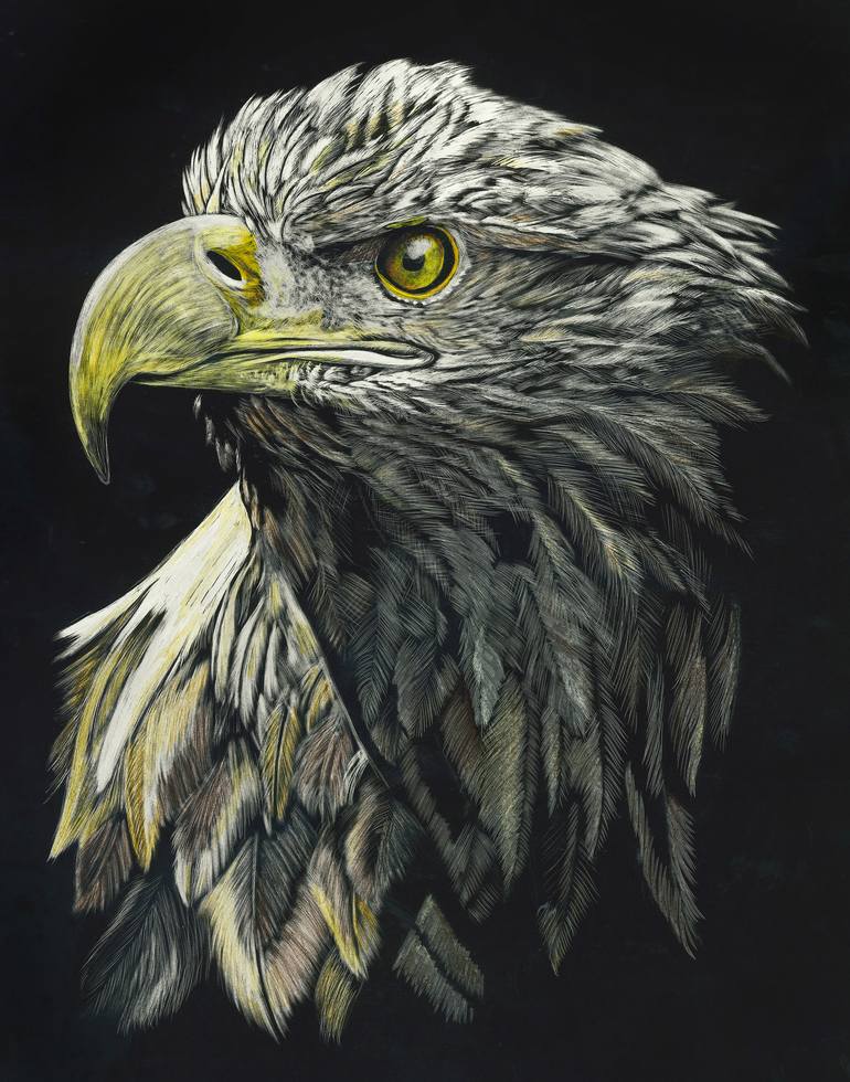 Bald Eagle Scratchboard Fine Art Print | thecozyred