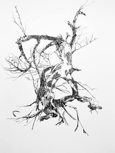 Print of Expressionism Nature Drawings by Tiffany Moore