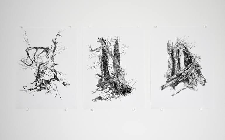 Original Expressionism Nature Drawing by Tiffany Moore