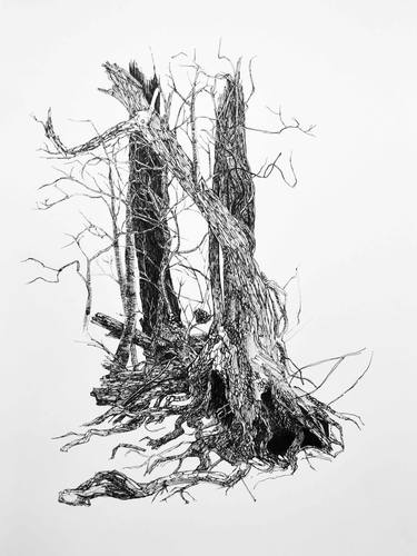 Print of Expressionism Nature Drawings by Tiffany Moore