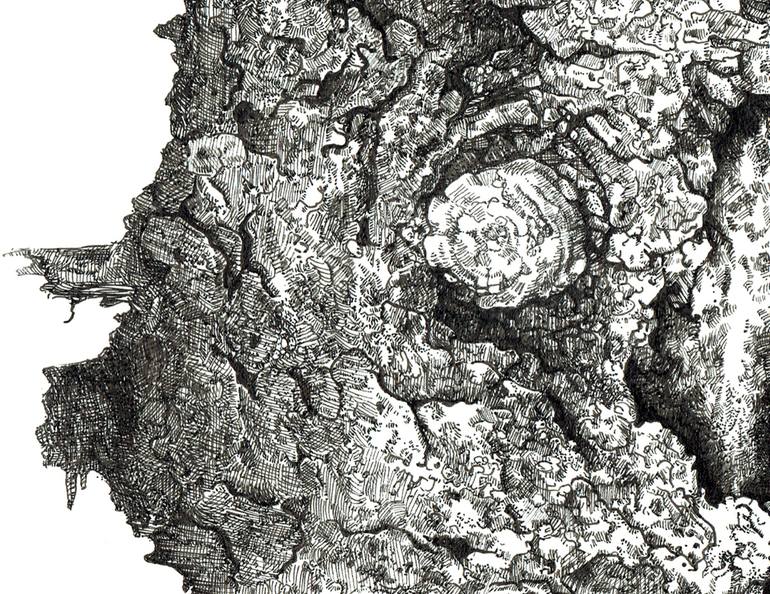 Original Realism Nature Drawing by Tiffany Moore