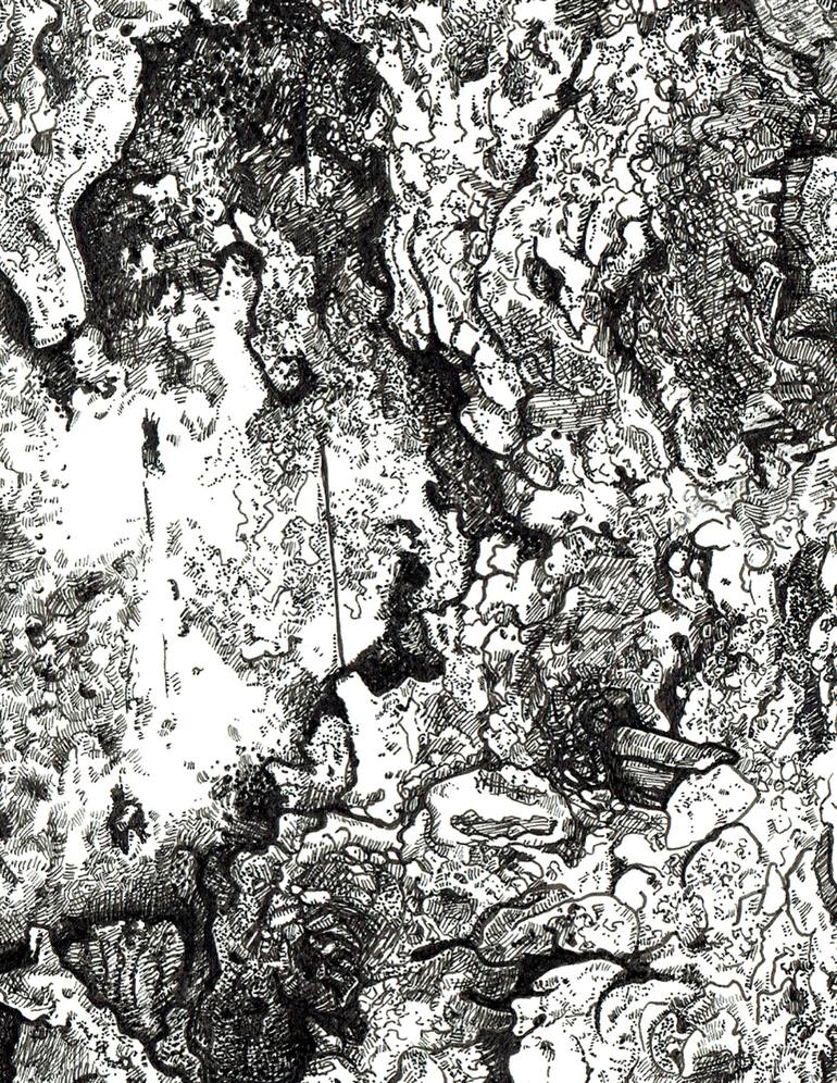 Original Realism Nature Drawing by Tiffany Moore