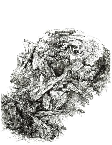 Print of Tree Drawings by Tiffany Moore