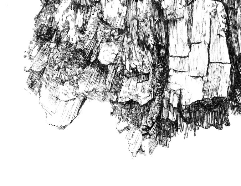 Original Illustration Nature Drawing by Tiffany Moore