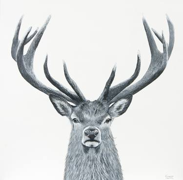 Original Animal Painting by Johanna Larkin