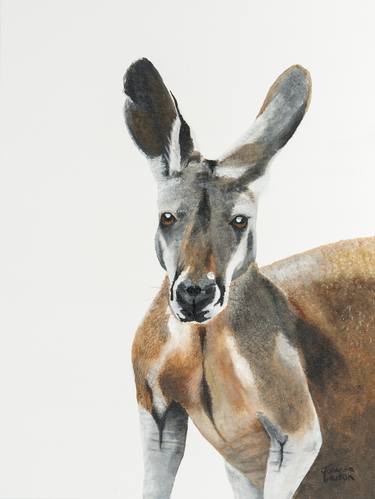 Original Animal Painting by Johanna Larkin