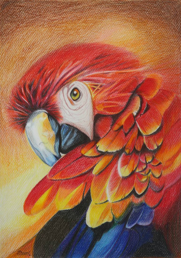 Macaw Painting by Bhoomi Patel | Saatchi Art