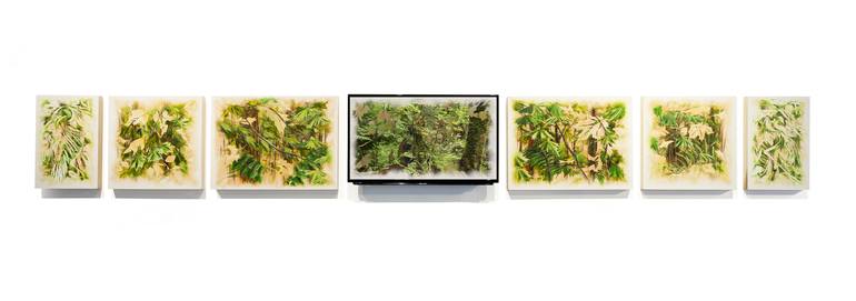 Original Fine Art Nature Installation by John Smither