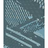 Elevated Line 1; Monoprint Oils on Archival Paper HiRes by Laurey Bennett-Levy