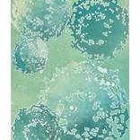 Paver 45: Monoprint Oils on Archival Paper HiRes by Laurey Bennett-Levy