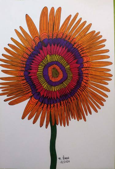 Original Floral Drawings by Marilyn Lowe