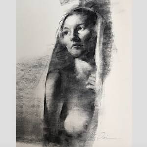 Collection Charcoal Drawings