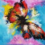 Why Butterfly by Moayed Shlemon