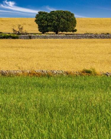 Print of Conceptual Landscape Photography by Carmelo Micieli