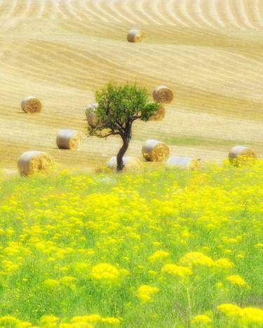 Print of Fine Art Landscape Photography by Carmelo Micieli