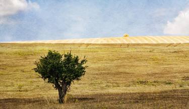 Original Fine Art Landscape Photography by Carmelo Micieli