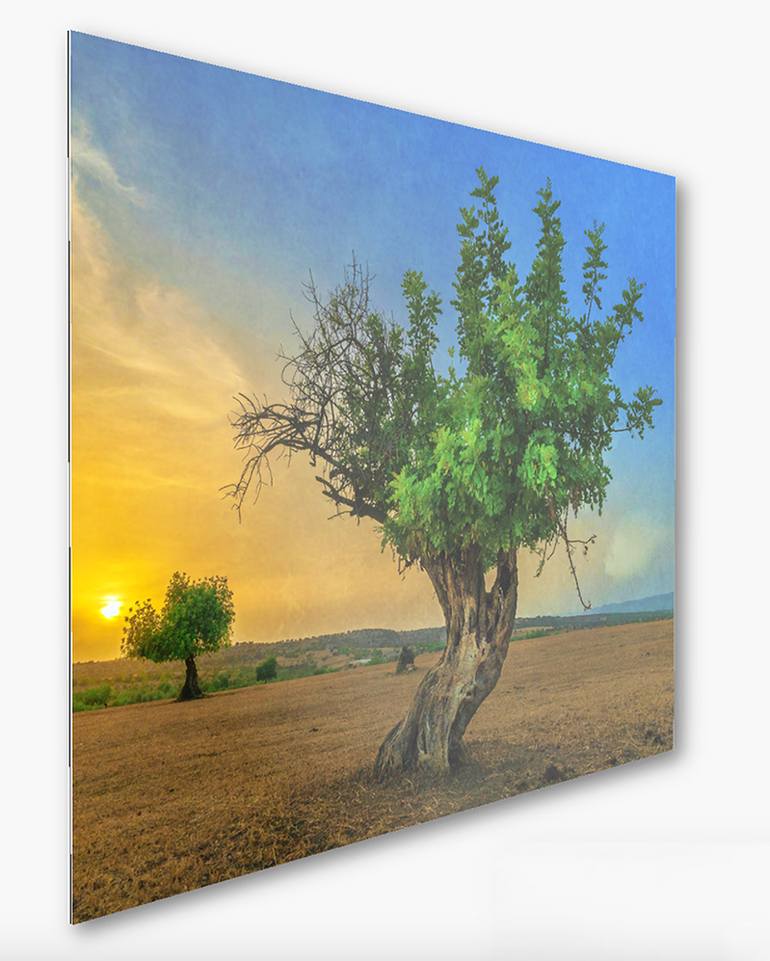 Original Conceptual Landscape Photography by Carmelo Micieli