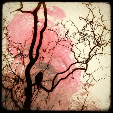 Print of Fine Art Nature Mixed Media by Marc Loret