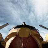 Collection Flight-A Study