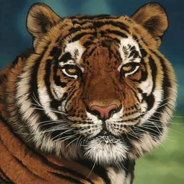 "Tiger" Eyes of Sumatra Series thumb