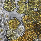 Collection Chrysanthemums