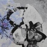 Collection Hypermorphing