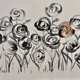 Collection Roses