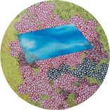Collection Hypermorph Garden