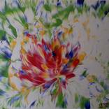 Flor de vida by Cesar Gutierrez