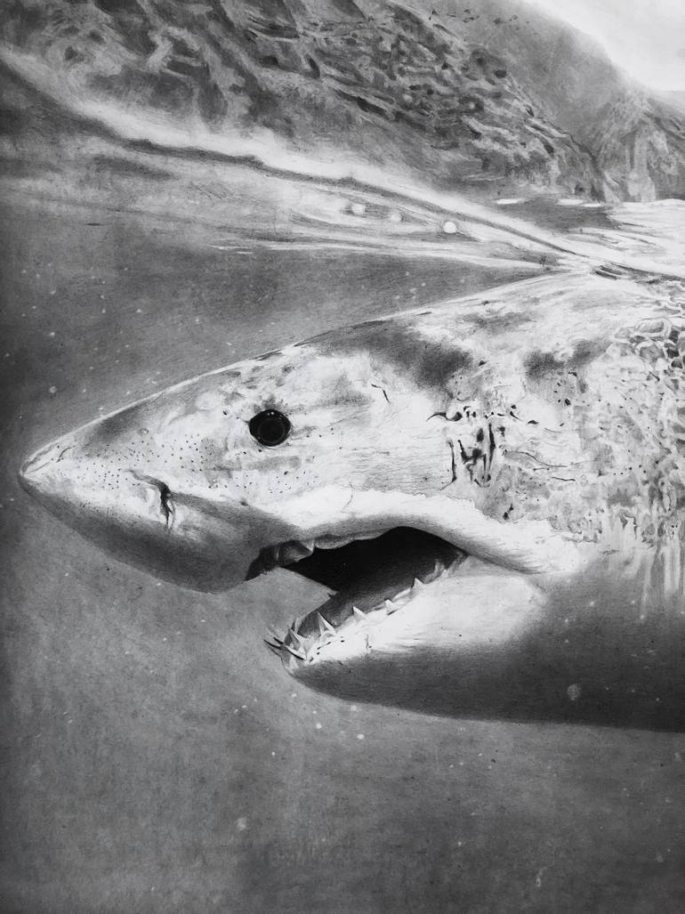 Original Realism Animal Drawing by Benjamin Valle