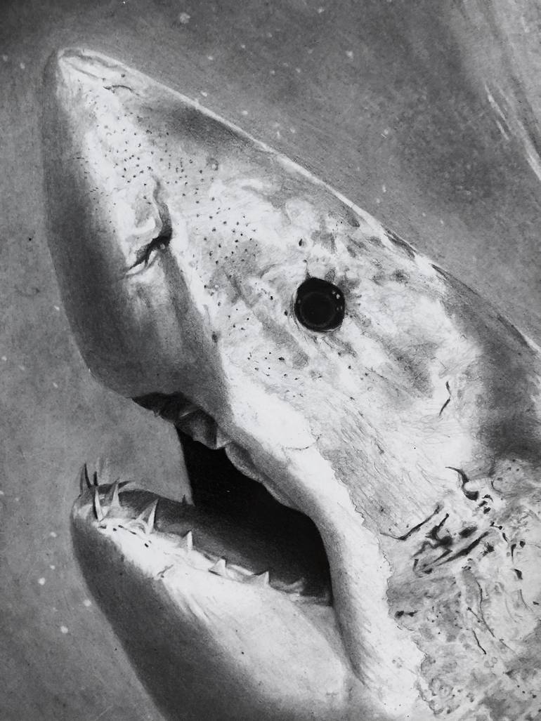 Original Realism Animal Drawing by Benjamin Valle