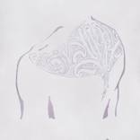 Waru - Limited Edition 1 of 1 by Abbey Kayte