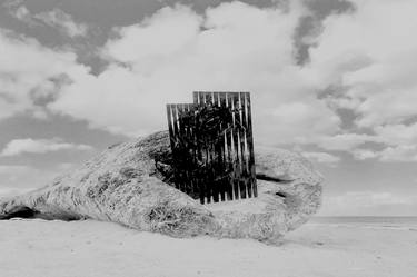 Print of Beach Photography by Marianne Nems