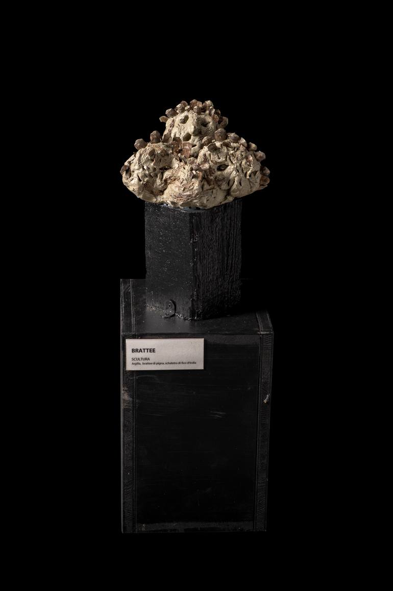 Original Conceptual Nature Sculpture by Valeria Ferrari