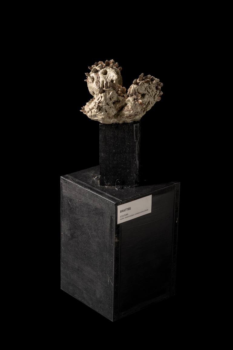Original Conceptual Nature Sculpture by Valeria Ferrari