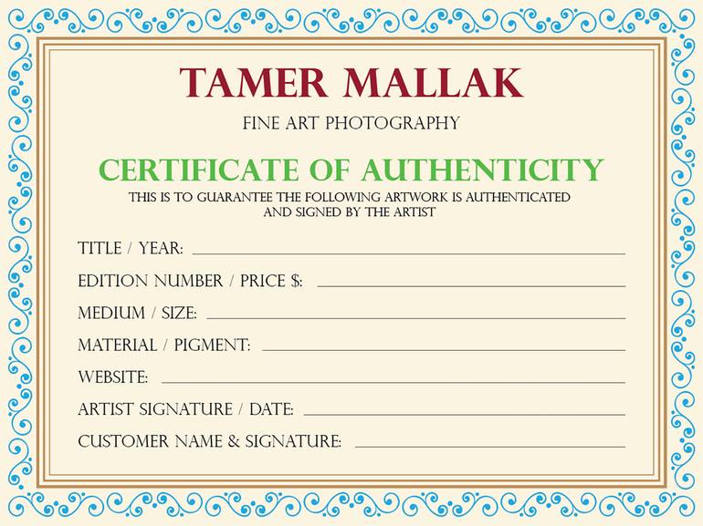 Original Conceptual Fantasy Photography by Tamer Mallak