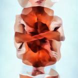 Upside Down by claudio gangi