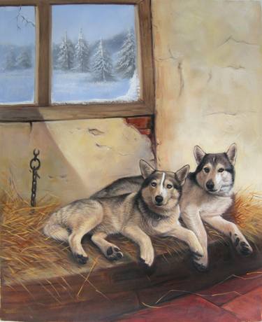 Siberian huskeys snow dogs thumb