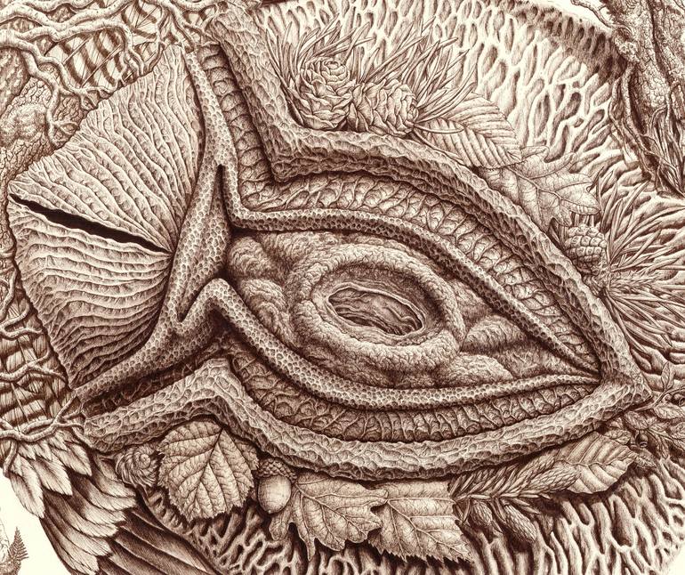 Original Documentary Nature Drawing by Ottilia Pfeil