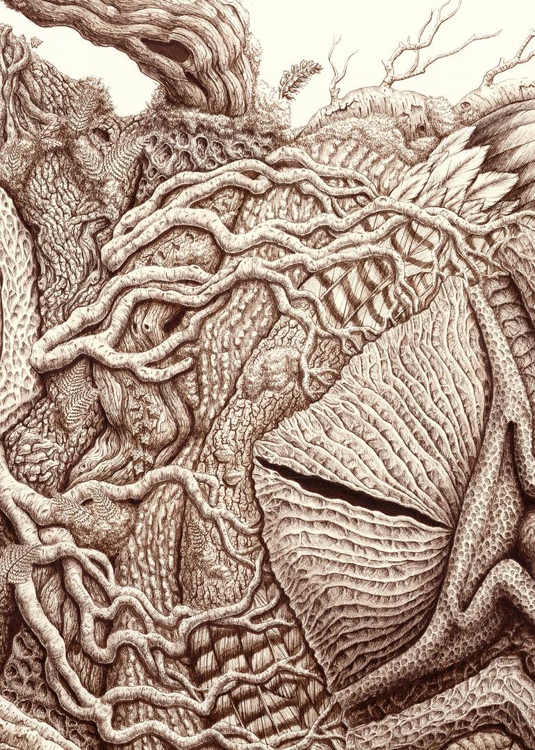 Original Documentary Nature Drawing by Ottilia Pfeil