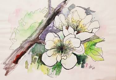 Original Floral Drawings by Galina Ivanova
